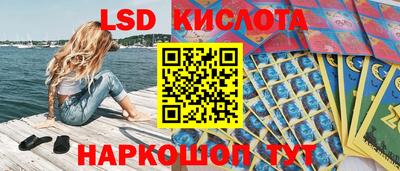 молекула духа Будённовск