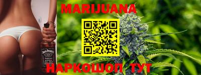 молекула духа Будённовск